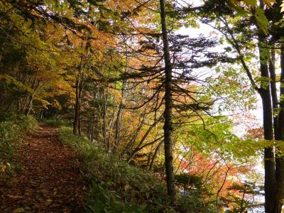 Wakoto Nature Trail