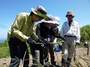 Park Volunteer