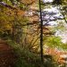 Wakoto Nature Trail