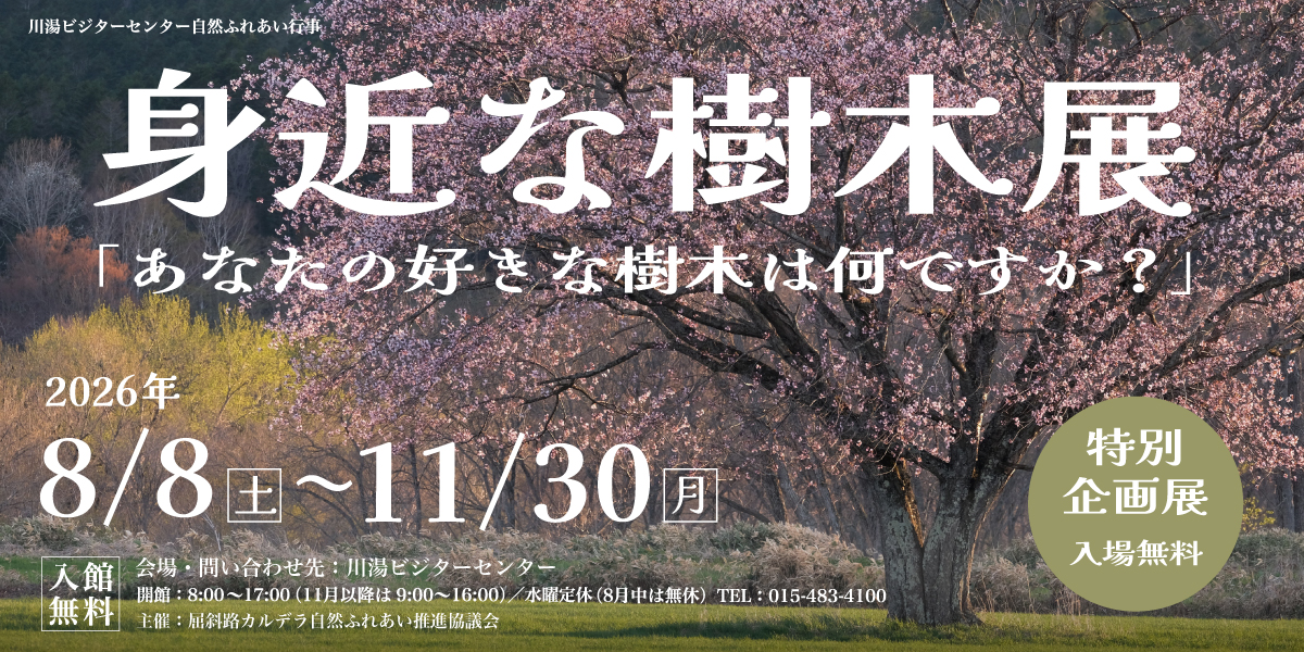 身近な樹木展