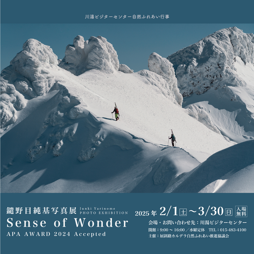 (Z-13-2) 【CAMOY展　ポスター 1991年 大阪市立美術館】 兵庫県立美術館 | 【6月29日（日）県美と横美 リレートーク開催