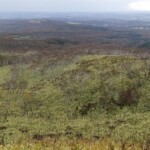 登山道から見る根釧台地