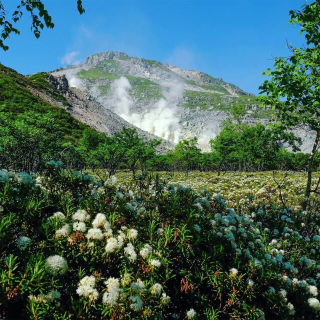 貴重山シリーズコタンの森
